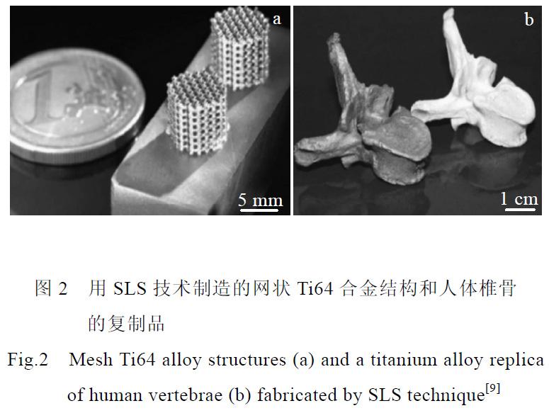 1681198791181475.jpg t2.jpg