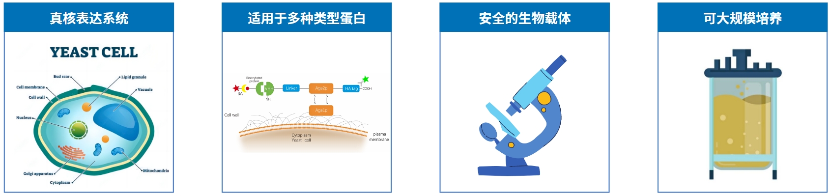 微信截圖_20240328142243.png