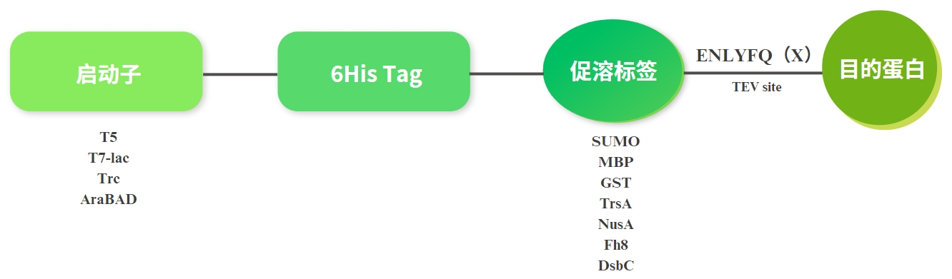 微信截圖_20240423155207.png