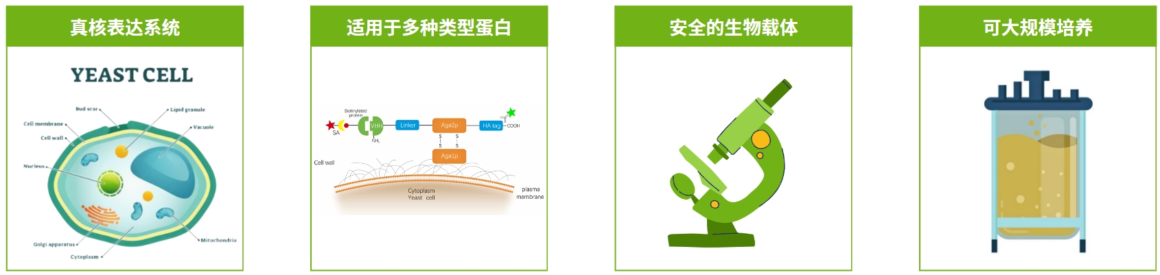 微信截圖_20241015153751.png